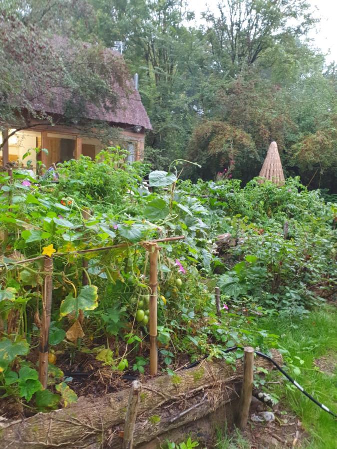 La Cabane Choussy 外观 照片